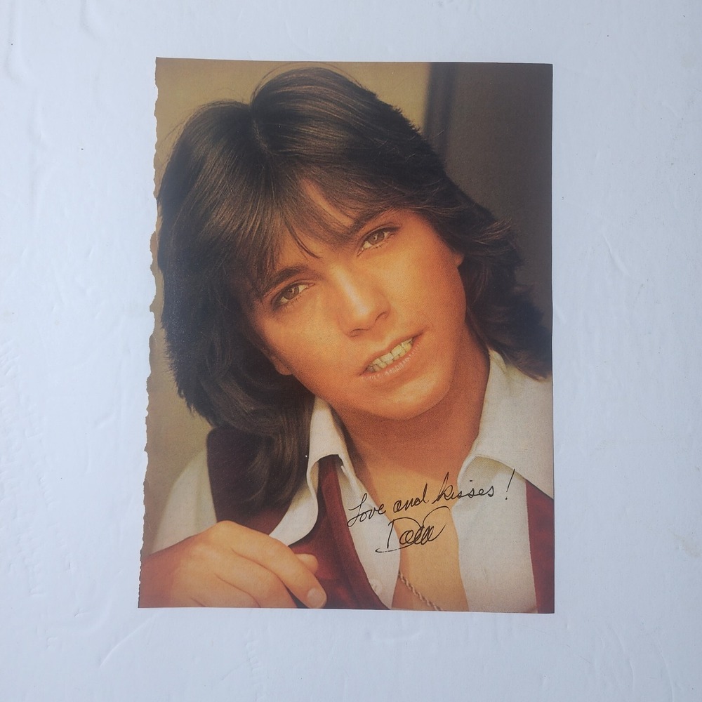 David Cassidy Facsimile Autograph Vintage Pinup Clipping 8x10.5 TV Memorabilia